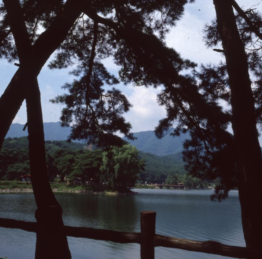 제천 의림지와 제림이미지