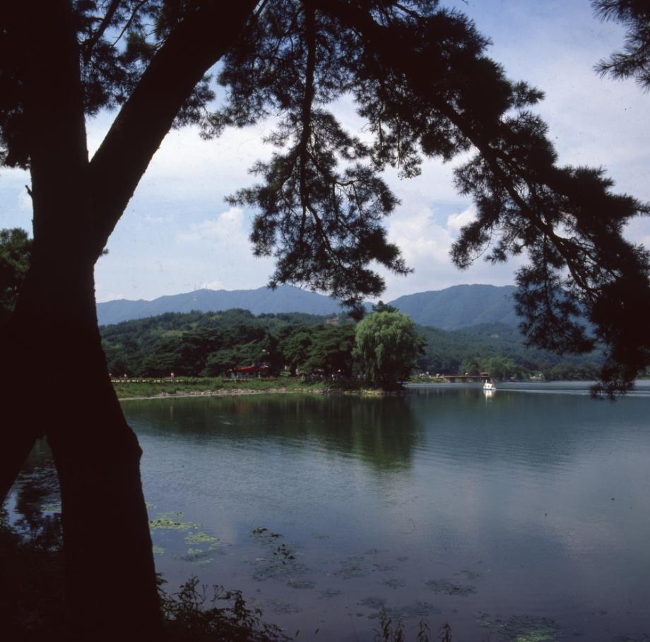 제천 의림지와 제림이미지