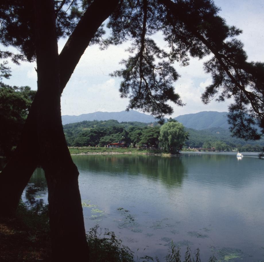 제천 의림지와 제림이미지