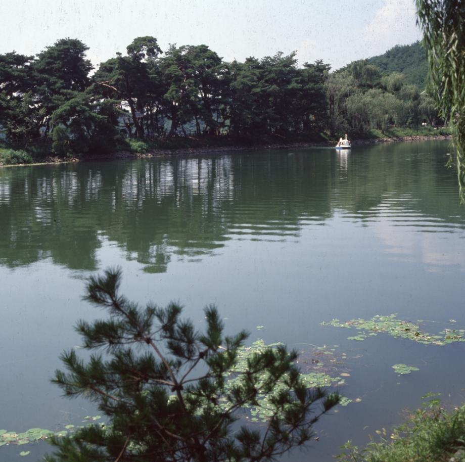 제천 의림지와 제림이미지