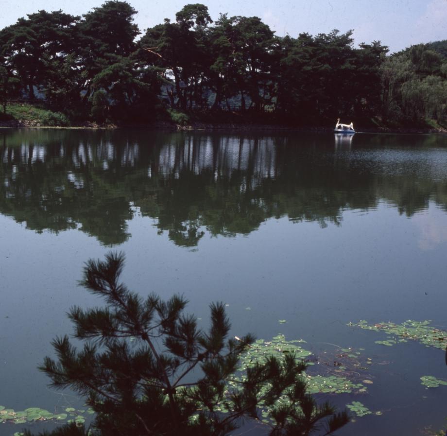 제천 의림지와 제림이미지