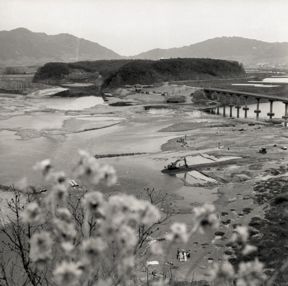 충주 탄금대이미지