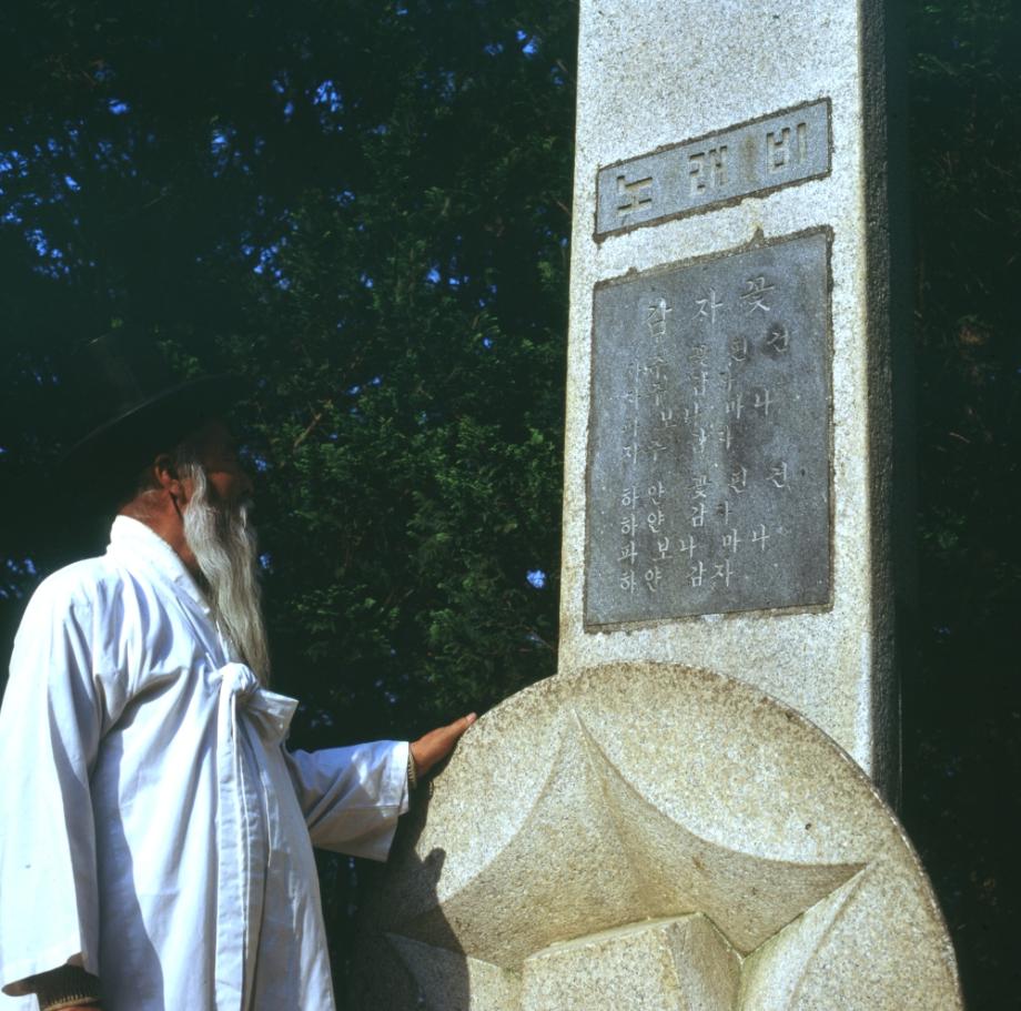 충주 탄금대이미지