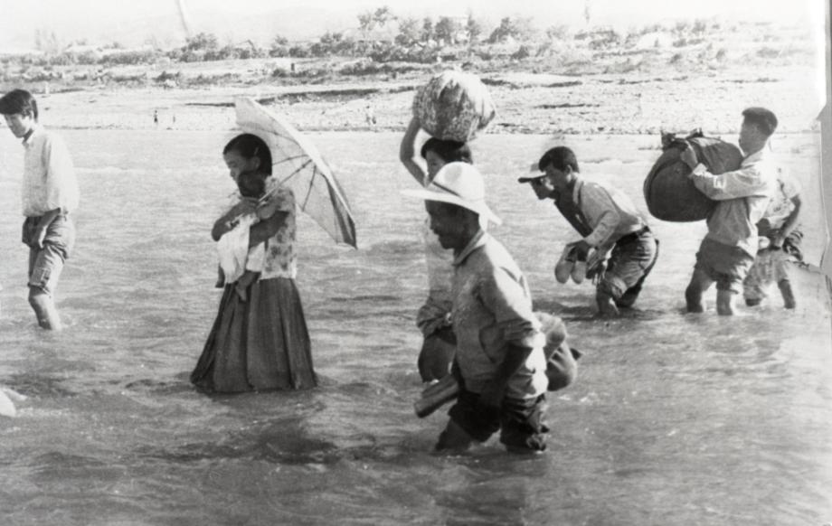 김운기 컬렉션이미지