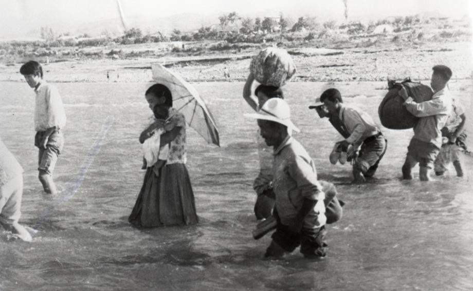 김운기 컬렉션이미지