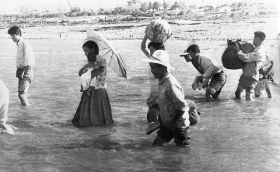 김운기 컬렉션이미지