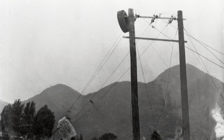 김운기 컬렉션이미지