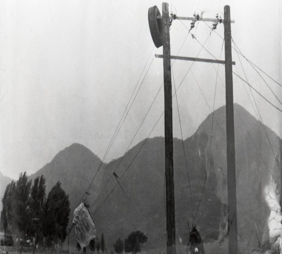 김운기 컬렉션이미지