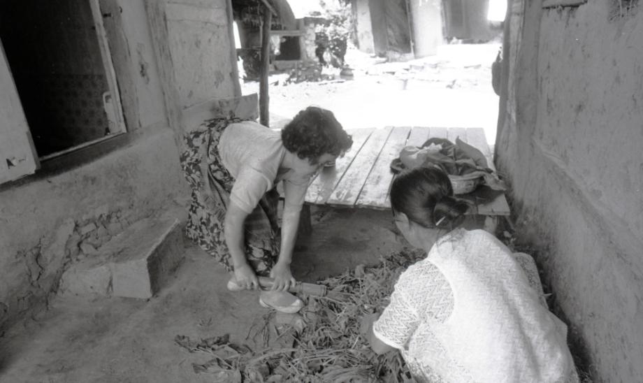 김운기 컬렉션이미지