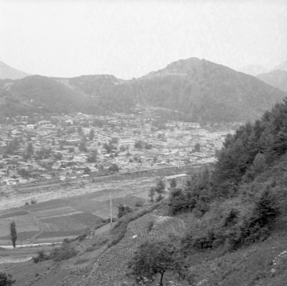 김운기 컬렉션이미지