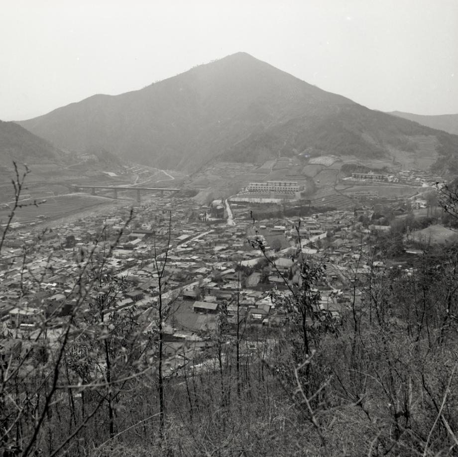 김운기 컬렉션이미지