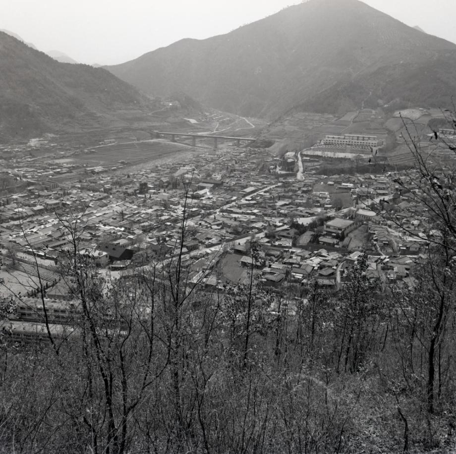 김운기 컬렉션이미지