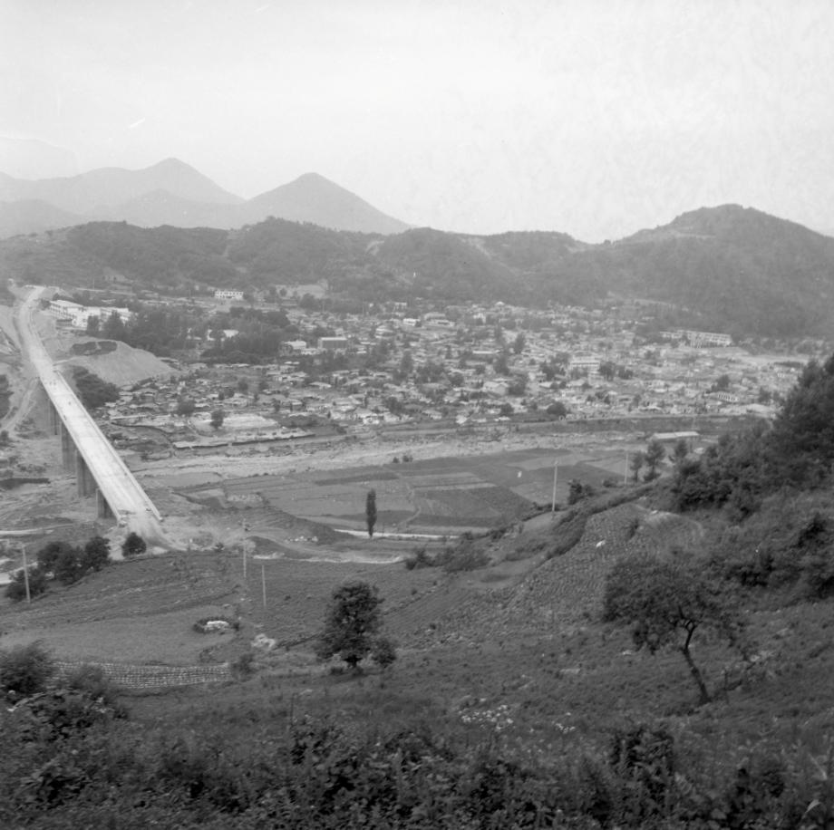 김운기 컬렉션이미지