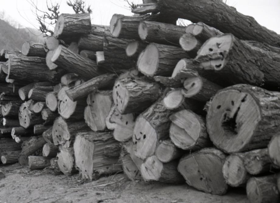 김운기 컬렉션이미지