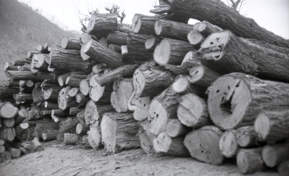 김운기 컬렉션이미지