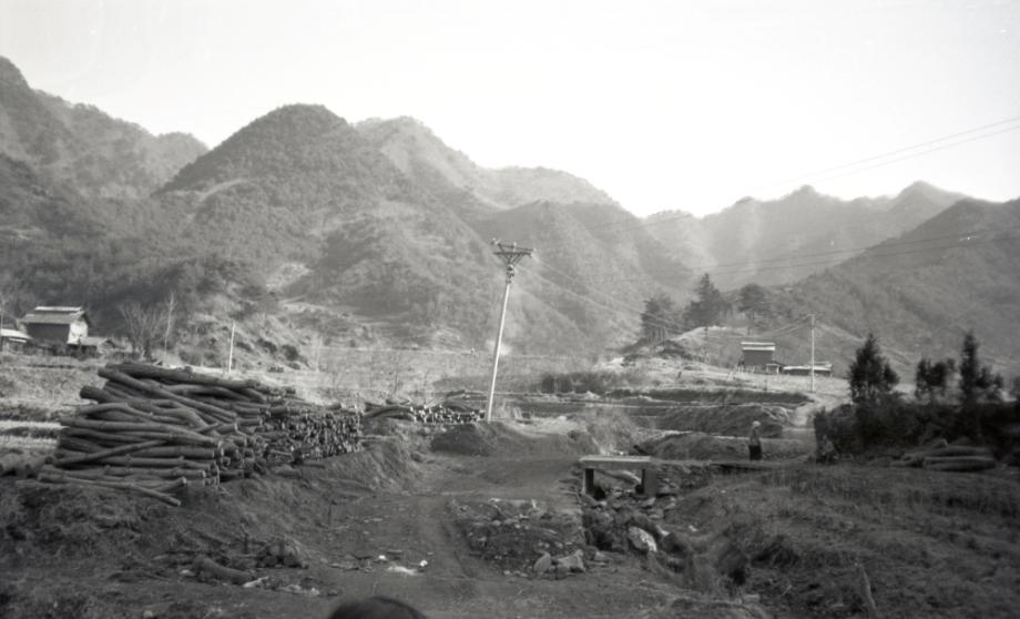 김운기 컬렉션이미지