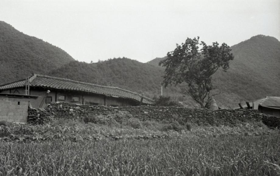 김운기 컬렉션이미지