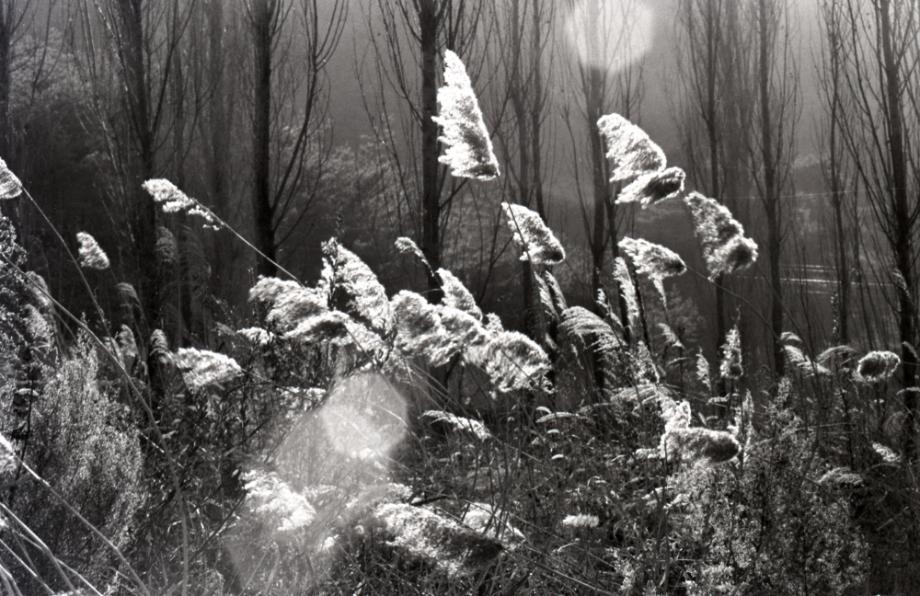김운기 컬렉션이미지