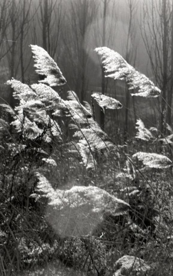 김운기 컬렉션이미지