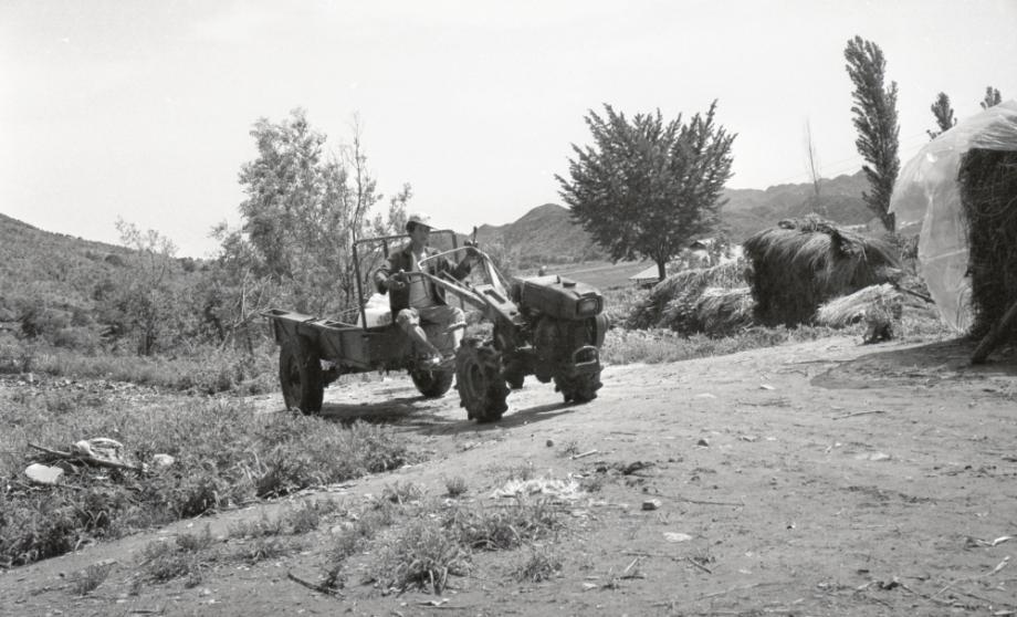 김운기 컬렉션이미지