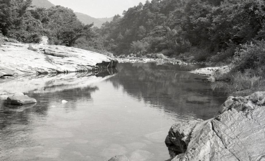 김운기 컬렉션이미지