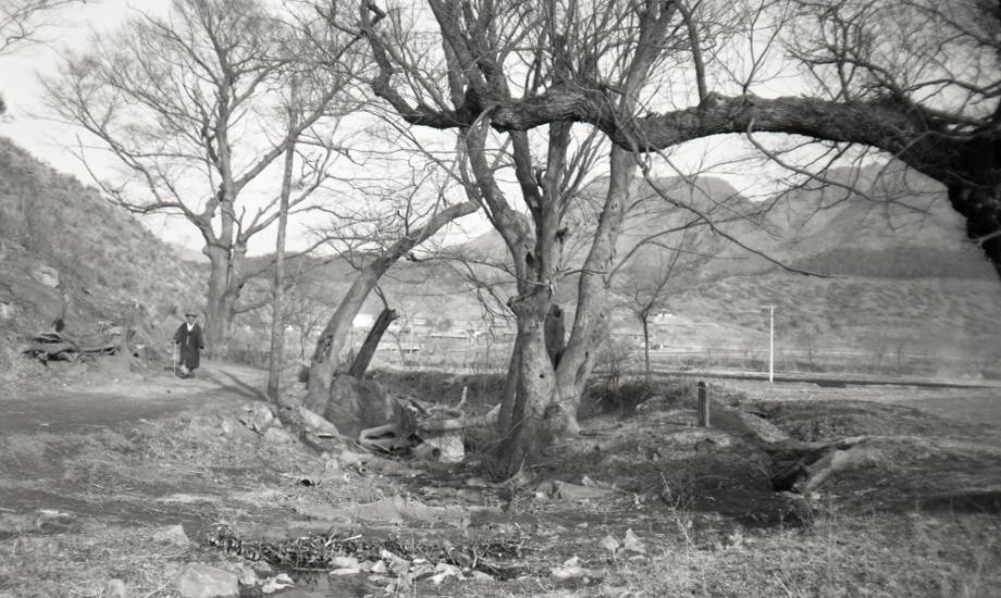 김운기 컬렉션이미지