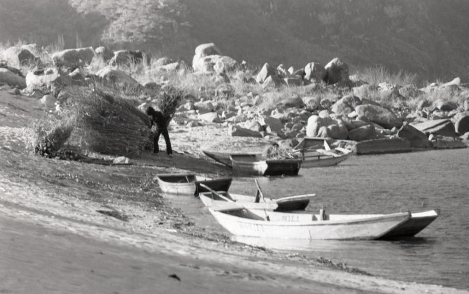 김운기 컬렉션이미지