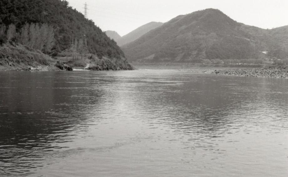 김운기 컬렉션이미지