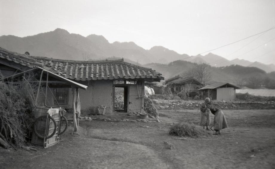 김운기 컬렉션이미지