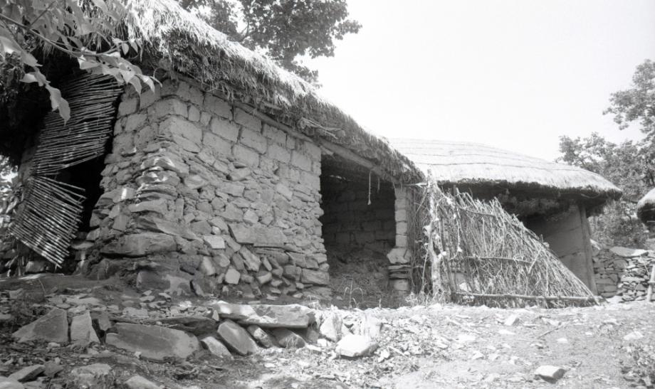 김운기 컬렉션이미지