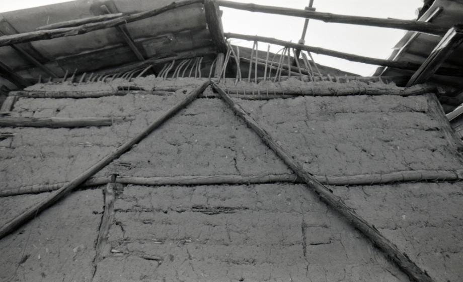 김운기 컬렉션이미지