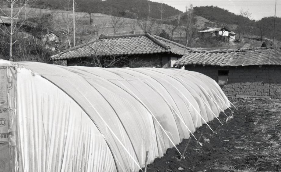 김운기 컬렉션이미지