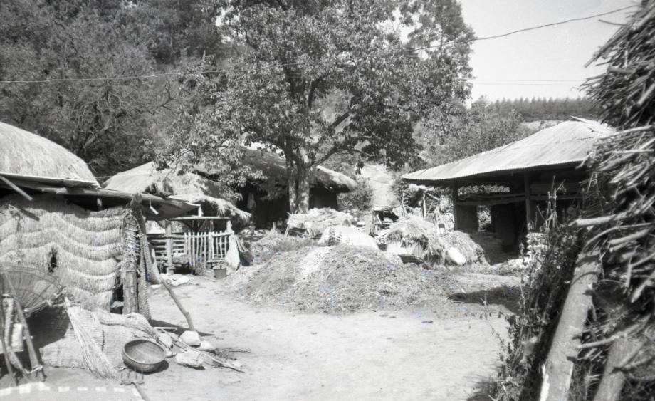 김운기 컬렉션이미지