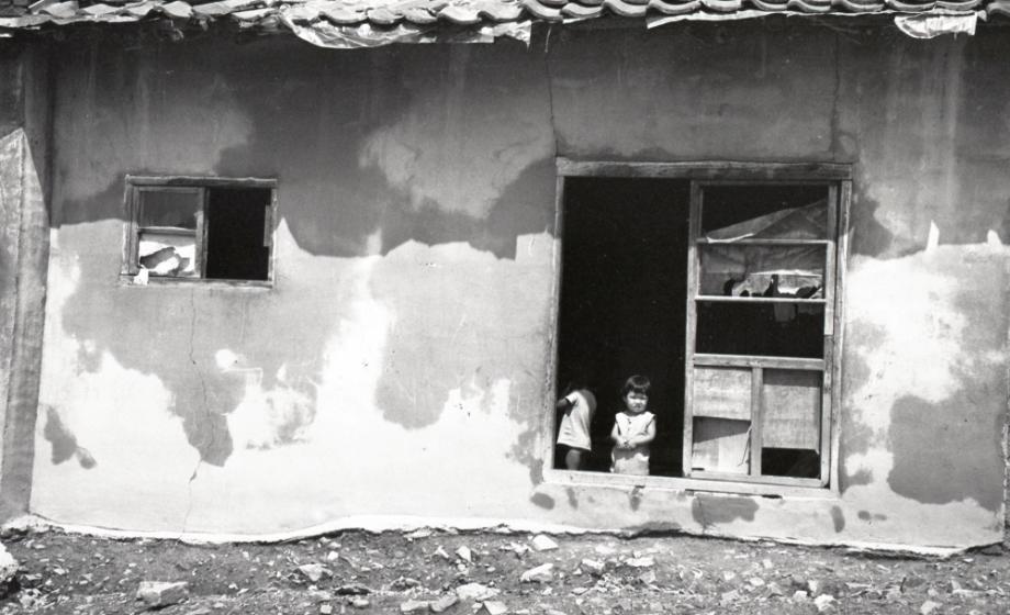 김운기 컬렉션이미지