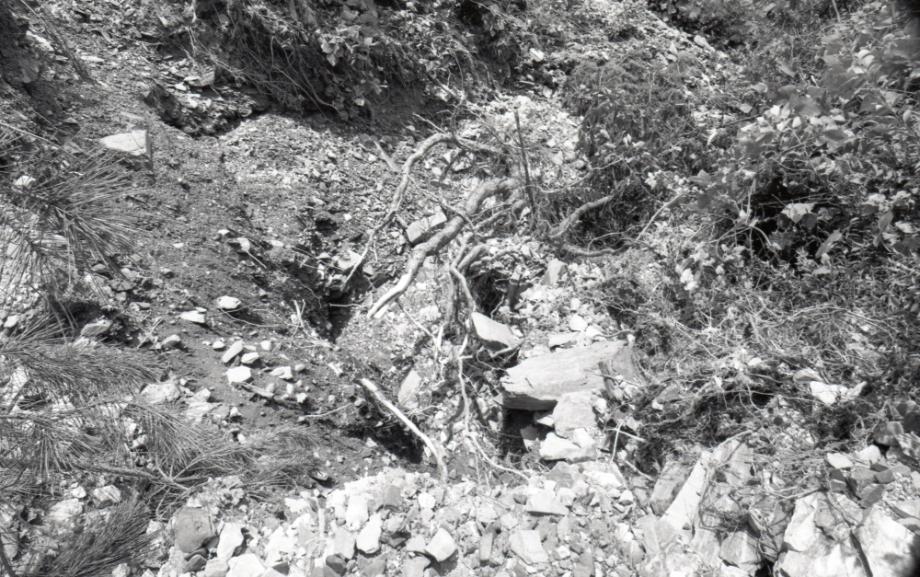 김운기 컬렉션이미지