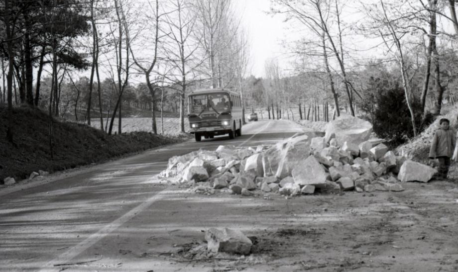 김운기 컬렉션이미지