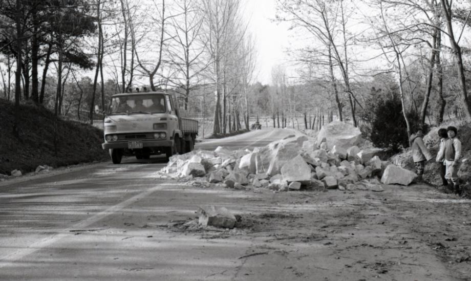 김운기 컬렉션이미지