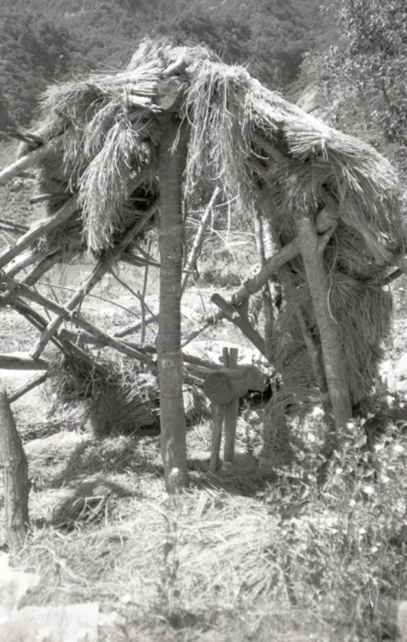 김운기 컬렉션이미지