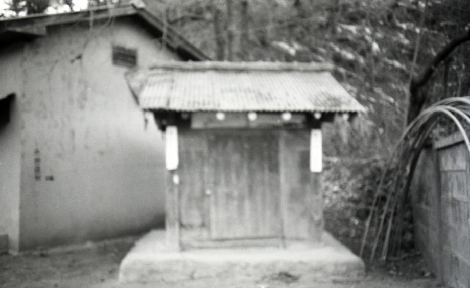 김운기 컬렉션이미지