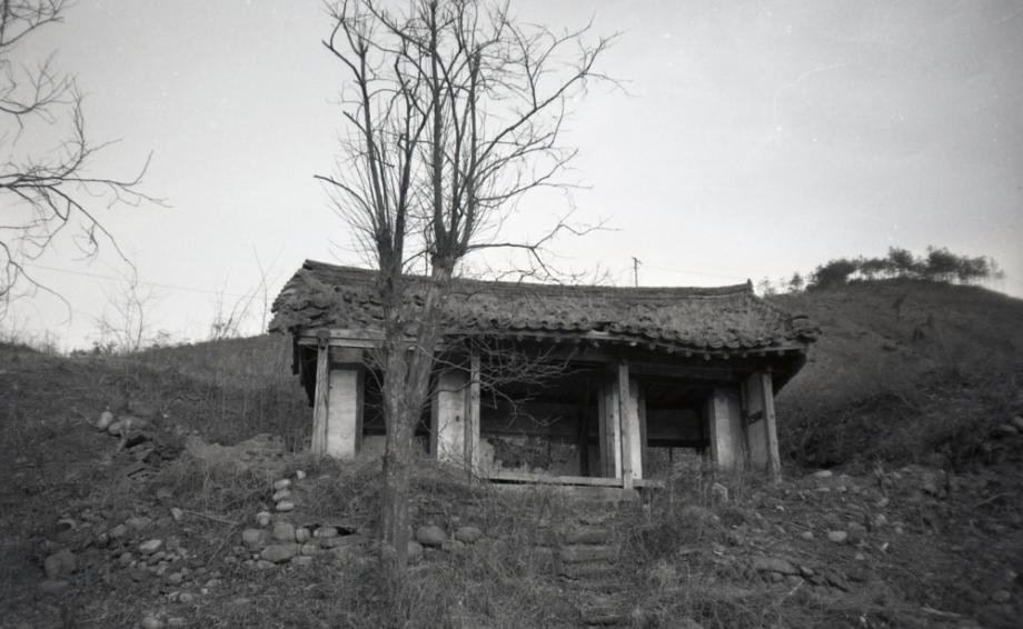 김운기 컬렉션이미지