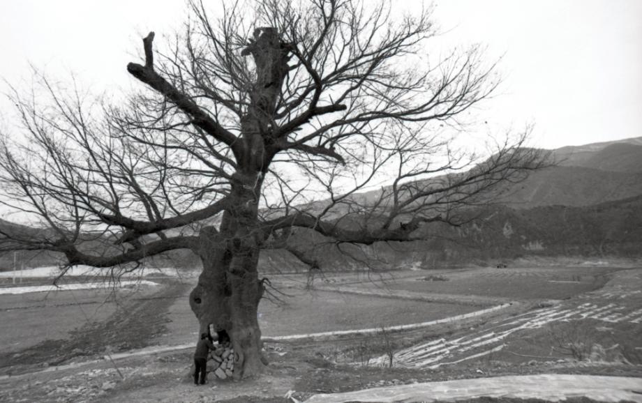 김운기 컬렉션이미지