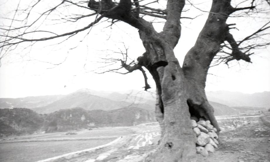 김운기 컬렉션이미지