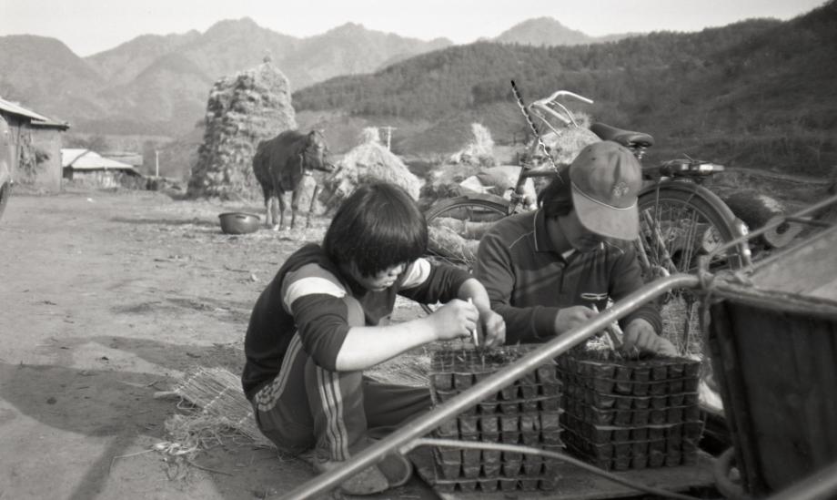 김운기 컬렉션이미지