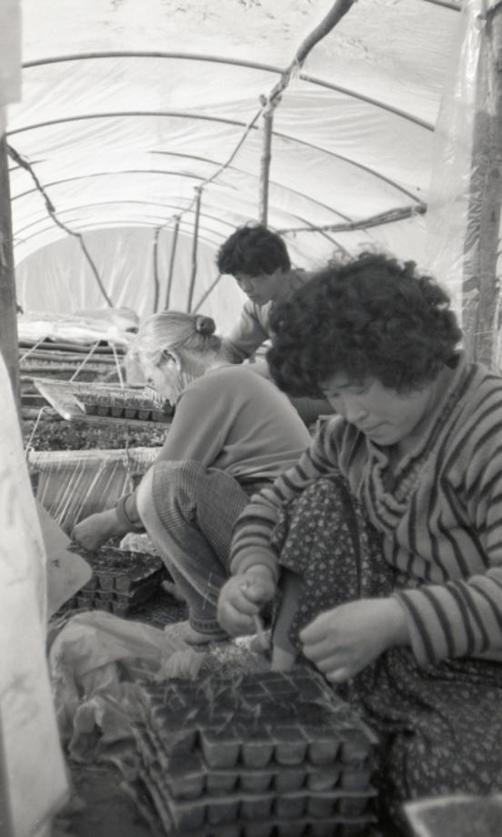 김운기 컬렉션이미지