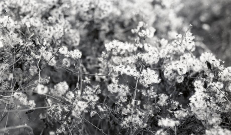 김운기 컬렉션이미지