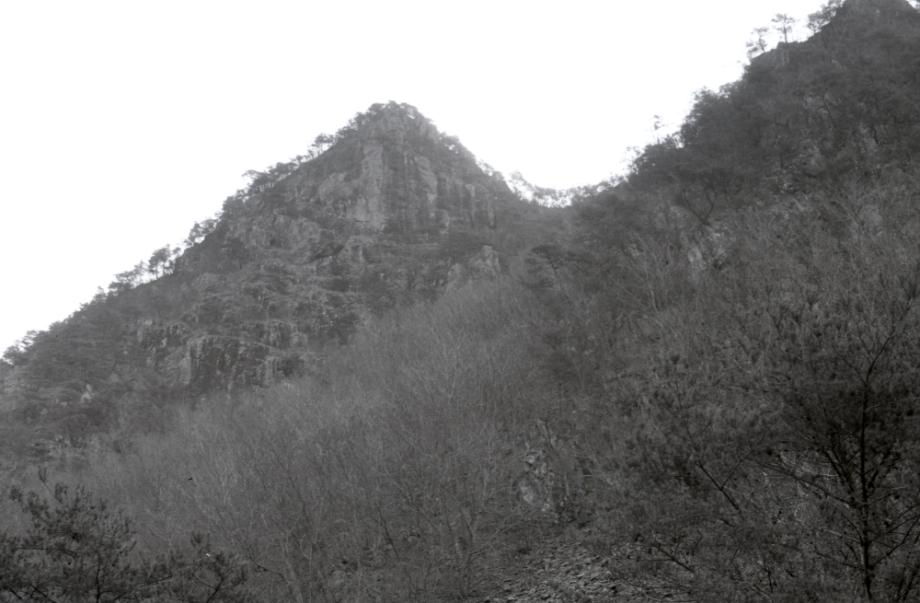 김운기 컬렉션이미지