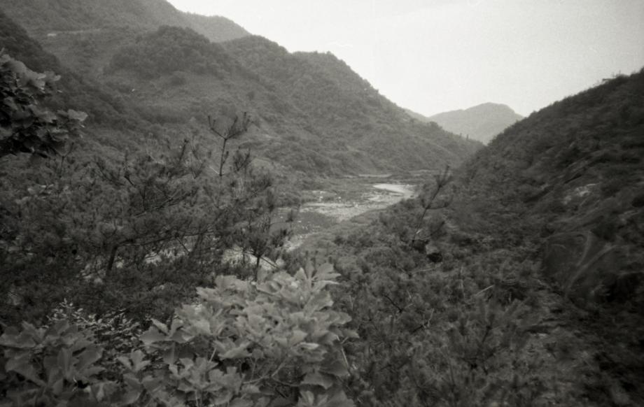 김운기 컬렉션이미지