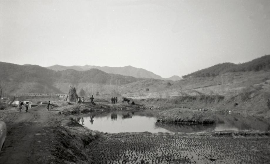 김운기 컬렉션이미지