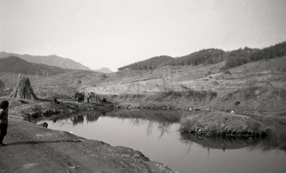 김운기 컬렉션이미지