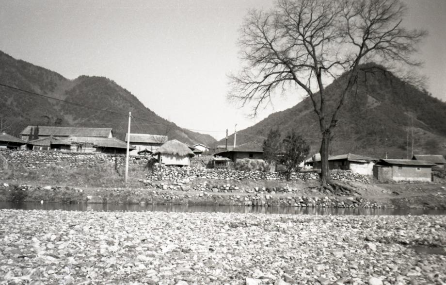 김운기 컬렉션이미지